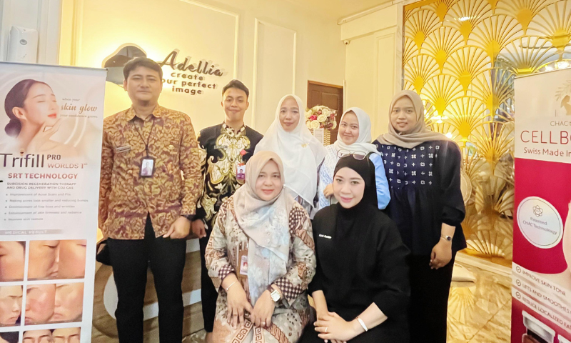 Projects pembinaan sdmk di rs adellia statika